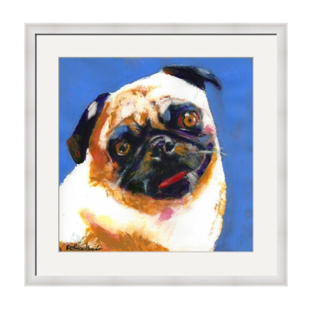 Pug Dog Blue Boy by RD Riccoboni Framed Portrait